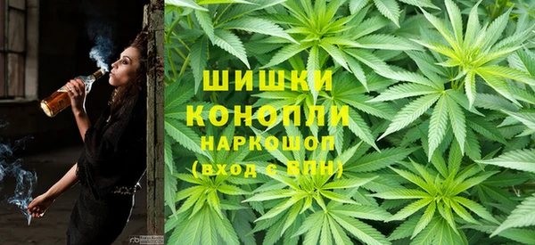 спиды Инсар