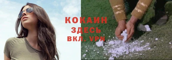 спиды Инсар