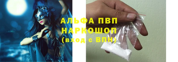 гидра Иннополис