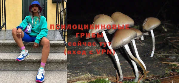 гидра Иннополис