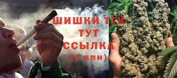 спиды Инсар