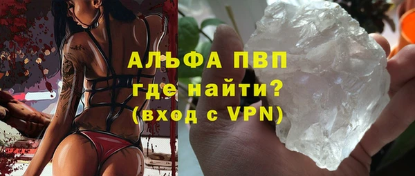 спиды Инсар
